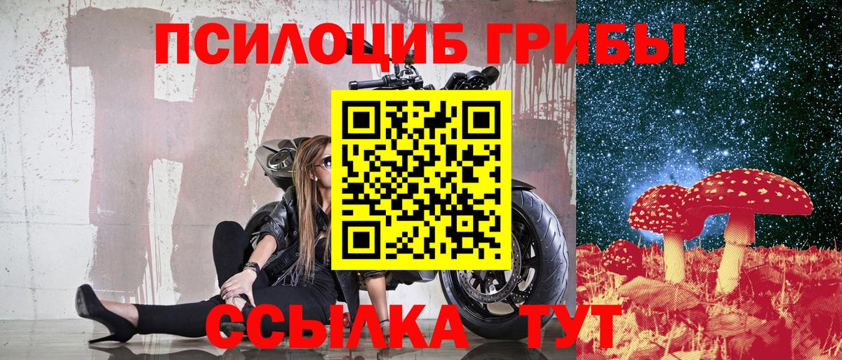 Сальск  Галлюциногенные грибы прущие грибы  Вход с VPN 